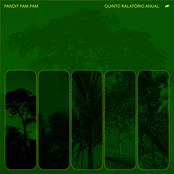 Quinto Relatório Anual