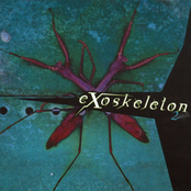 Exoskeleton 2
