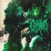 The End Of Forgiveness