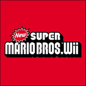 new super mario bros. wii