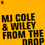 From The Drop by Mj Cole & Wiley