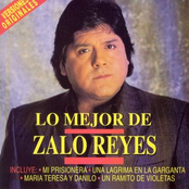 Motivo Y Razón by Zalo Reyes