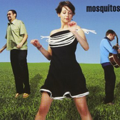 Mosquito by Mosquitos