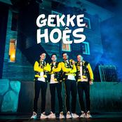 Gekkehoês