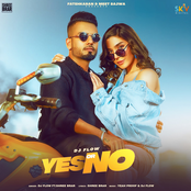 DJ Flow: Yes or No (feat. Shree Brar)