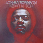 Nothing Can Touch This Love by Johnny Robinson