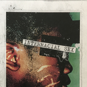 Arse Toolin' Wit Deh Stock Whip Handle