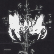 Talon / Turn the Lights Down