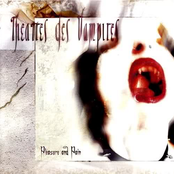 Never Again by Theatres Des Vampires