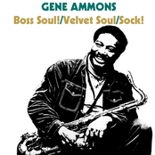 Velvet Soul by Gene Ammons