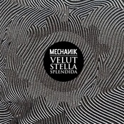 Velut Stella Splendida