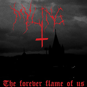 The Forever Flame of Us