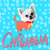 Chiwawa - Single