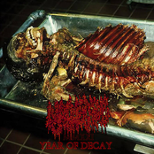 MMXXI: Year of Decay