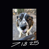 7.18.2025 ("Our Classic Spicy Chicken Sandwich Is Back and All Of Tomorrow's Numbers")