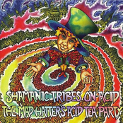 The Mad Hatter's Acid Tea Party