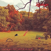 Redeye: What Do You Hear? What Do You Say?