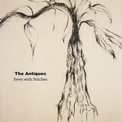 Every Night by The Antiques