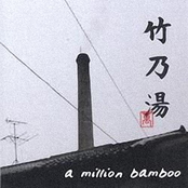 Bass by A Million Bamboo