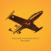 Motion by The Black Hotels