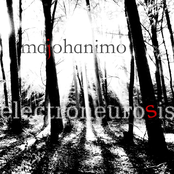 majohanimo - electroneurosis [2009]