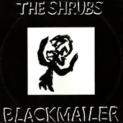 Blackmailer by The Shrubs