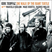 the walk of the giant turtle