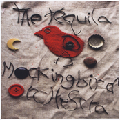 Canela by The Tequila Mockingbird Orchestra