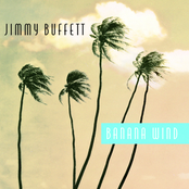 Cultural Infidel by Jimmy Buffett