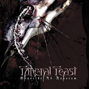 Parasite by Funeral Feast