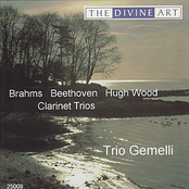 Brahms, Beethoven, Wood: Clarinet Trios