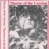 Darkness In The Elegy Season