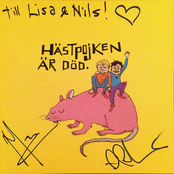 Hästpojken Är Död.