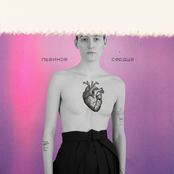 Львиное сердце