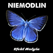 Efekt Motyla
