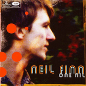 Driving Me Mad by Neil Finn