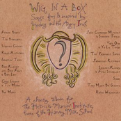 Wig In A Box