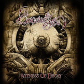 Witness Of Decay