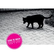 Barking Dogs Don´t Bite