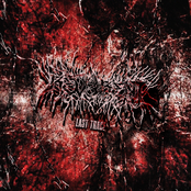 REV3RENT: Last Trace