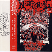 Excremental Pregnancy