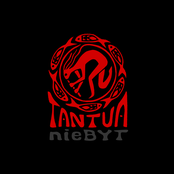 nieBYT