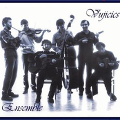 vujicsics ensemble