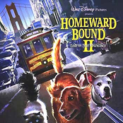 Homeward Bound 2