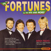 The Fortunes: Seasons In The Sun