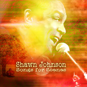 Shawn Johnson: Songs For Scenes