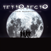 Perro Negro: Quedan Madrugadas