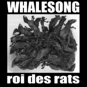 Roi des Rats