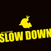 Slow Down