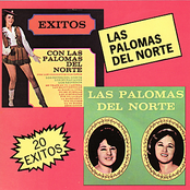 20 Exitos